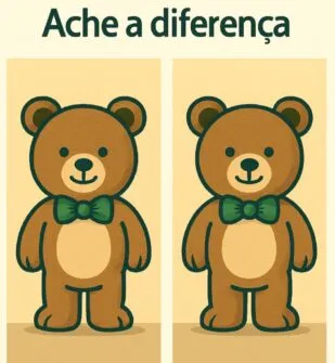 ache a diferença o ursinho