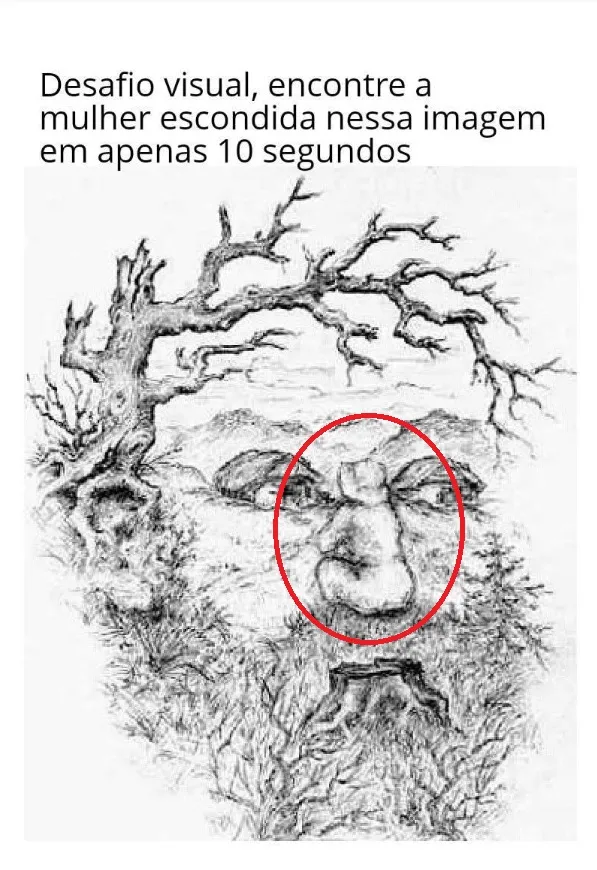 desafio visual ache a mulher escondida em 30 segundos resposta