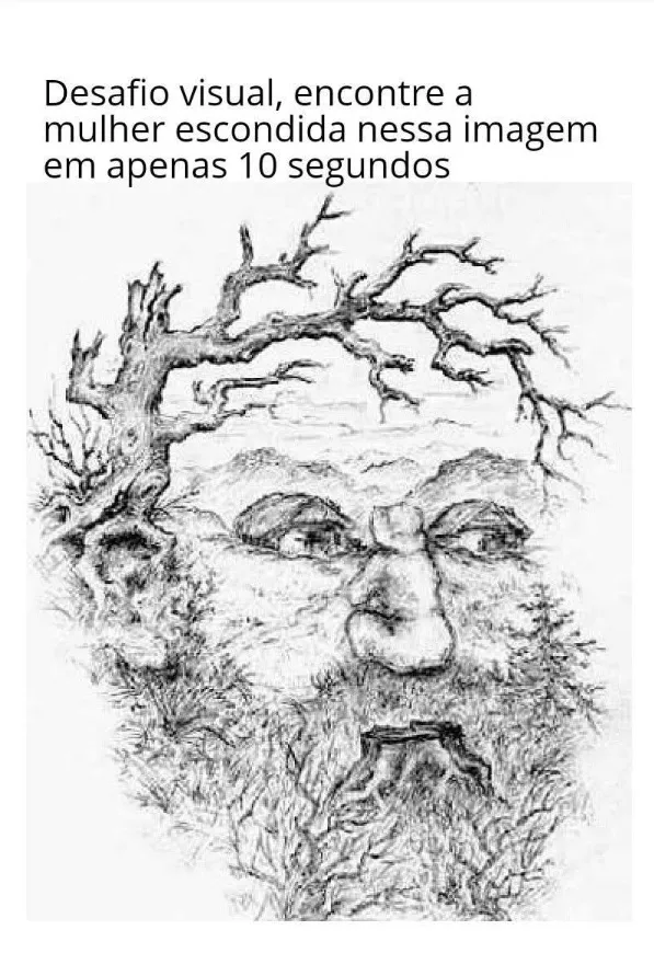 desafio visual ache a mulher escondida em 30 segundos