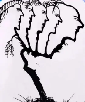 desafio visual ache os 9 rostos escondidos na imagem