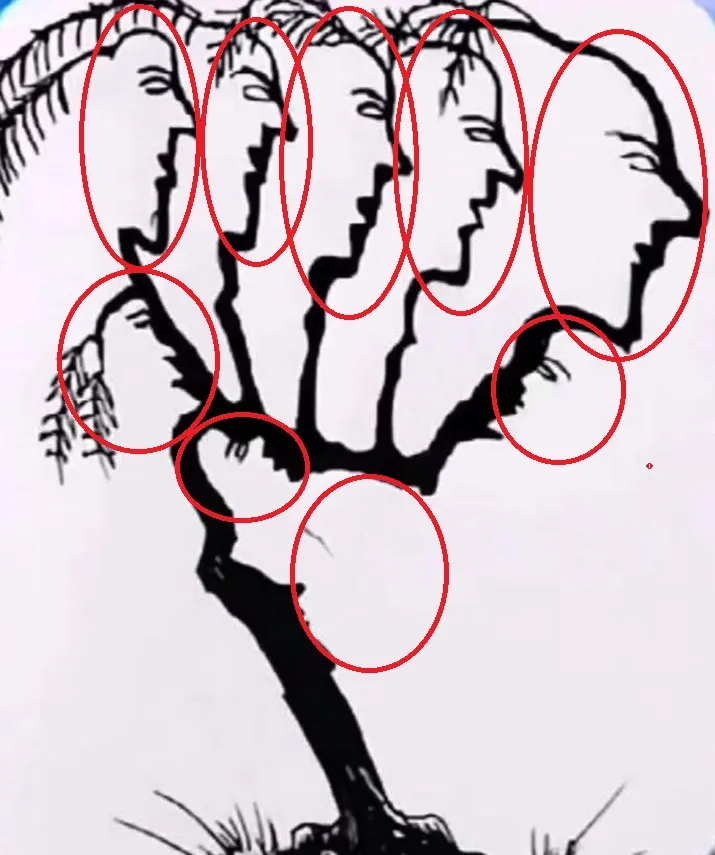 desafio visual ache os 9 rostos escondidos na imagem resposta
