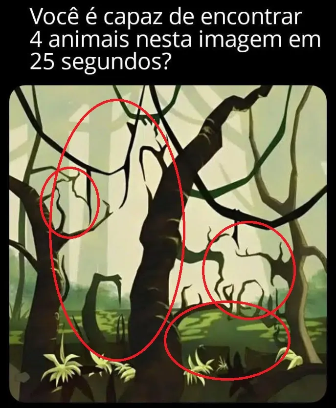 desafio visual consegue achar os 4 animais escondidos em 25 segundos resposta