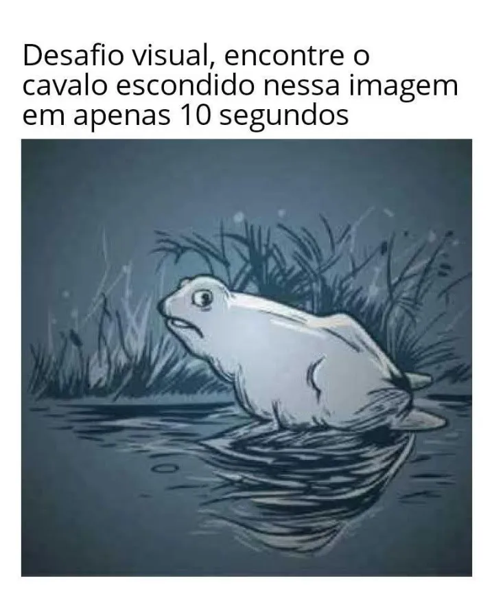 desafio visual encontre o cavalo escondido nessa imagem