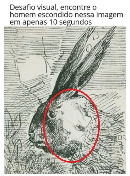 desafio visual encontre o homem escondido nessa imagem em apenas 10 segundos resposta