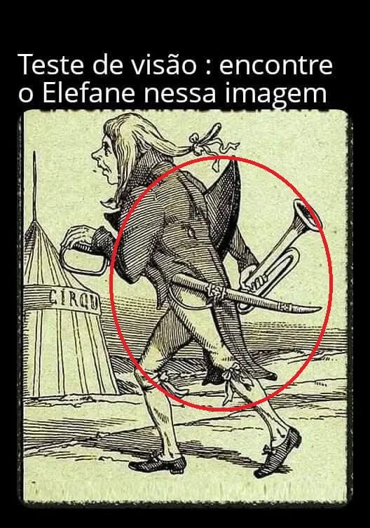 encontre o elefante na imagem resposta