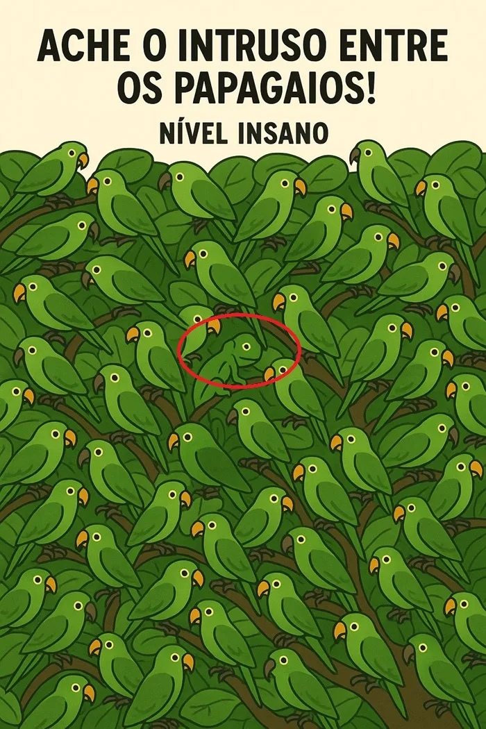 Veja a Resposta Ache o intruso na imagem dos Papagaios