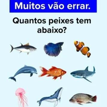 Desafio Visual: Quantos Peixes Você Consegue Encontrar?