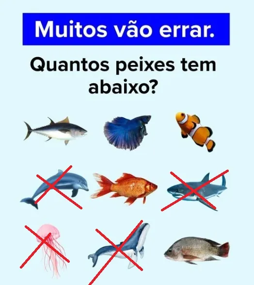 Desafio Visual: Quantos Peixes Você Consegue Encontrar?
