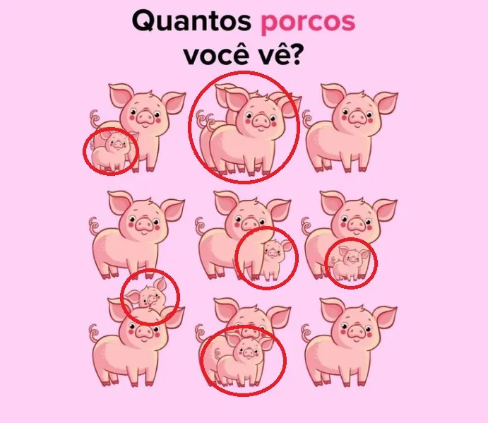 Desafio Visual: Quantos Porcos Você Vê na Imagem?