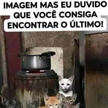 Tem 6 gatos na imagem você consegue ver?