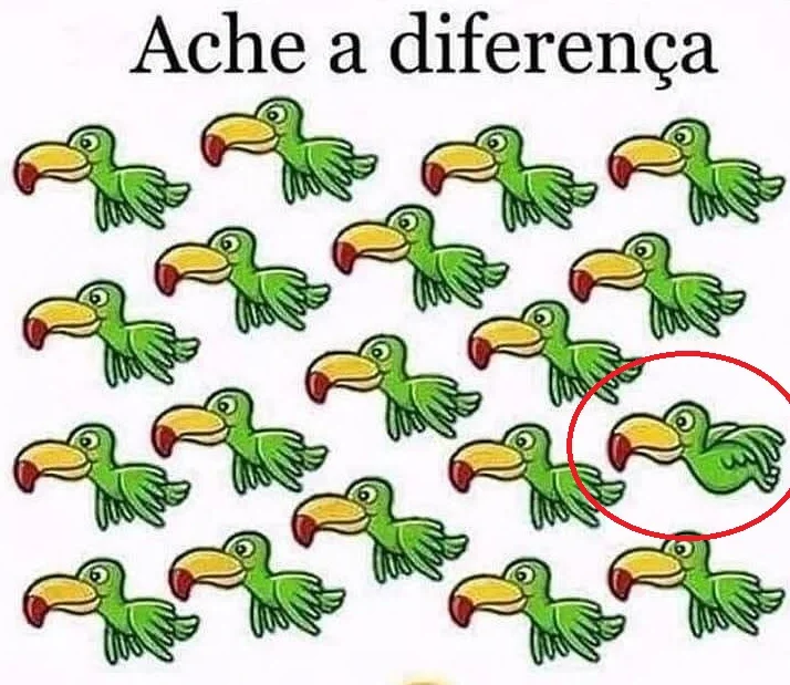 Ache a Diferença: Encontre o Tucano Diferente