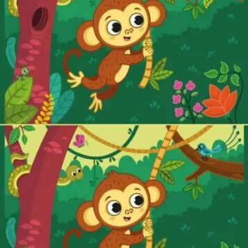 Ache a Diferença: Macaquinho na Floresta