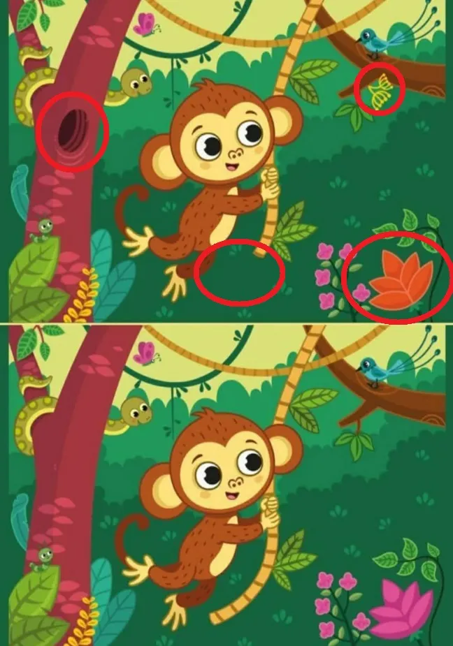Ache a Diferença: Macaquinho na Floresta