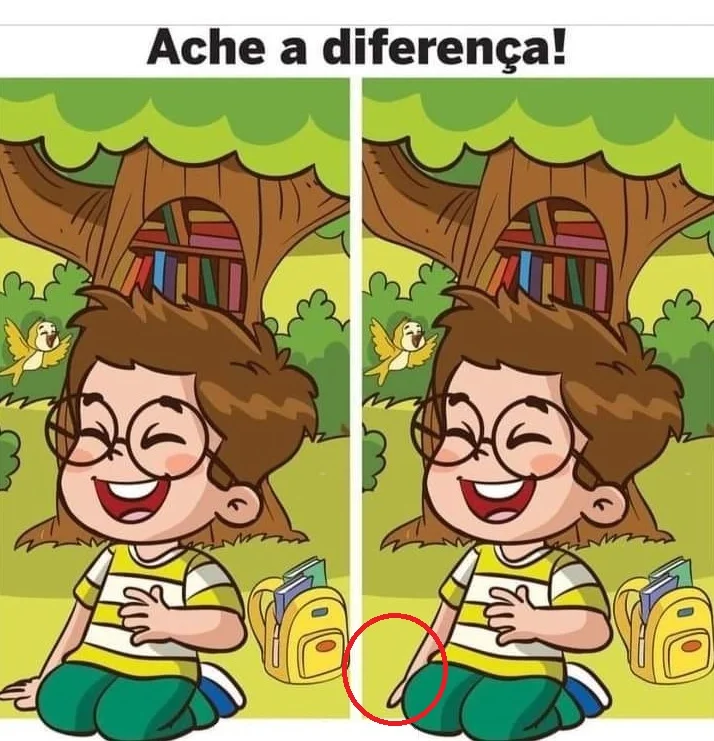 Ache a Diferença: Menino e seus Livros na Floresta