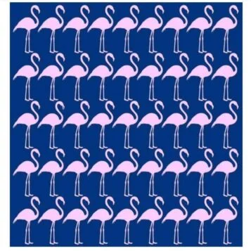Ache a Diferença: O Flamingo Diferente