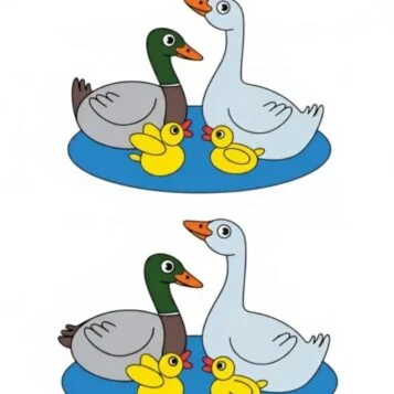 Ache a Diferença: Patos e Filhotes na Lagoa