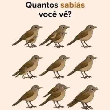 Desafio do Dia: Quantos Sabiás Você Vê?
