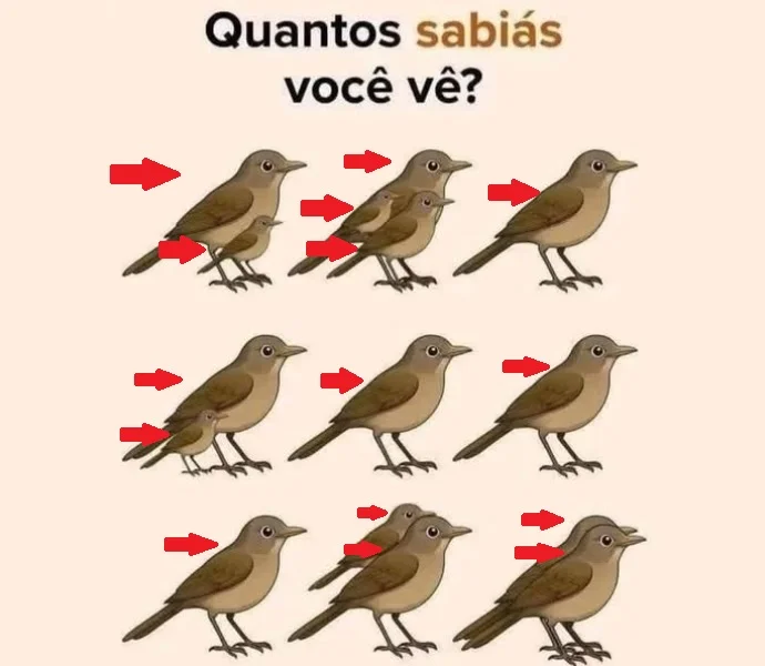 Desafio do Dia: Quantos Sabiás Você Vê?