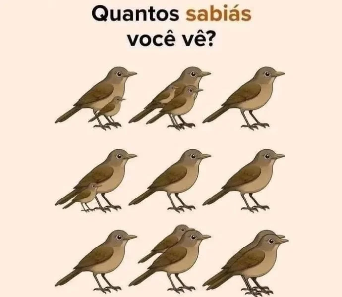 Desafio do Dia: Quantos Sabiás Você Vê?