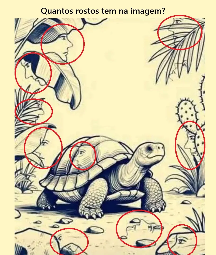 Quantos rostos você consegue ver na imagem da tartaruga