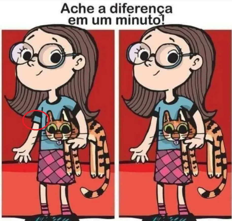 Ache a Diferença: A Menina e Seu Gato Listrado