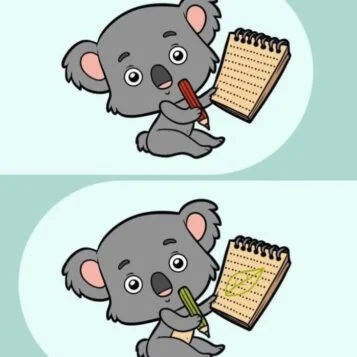 Ache a Diferença: O Coala e Seu Caderno