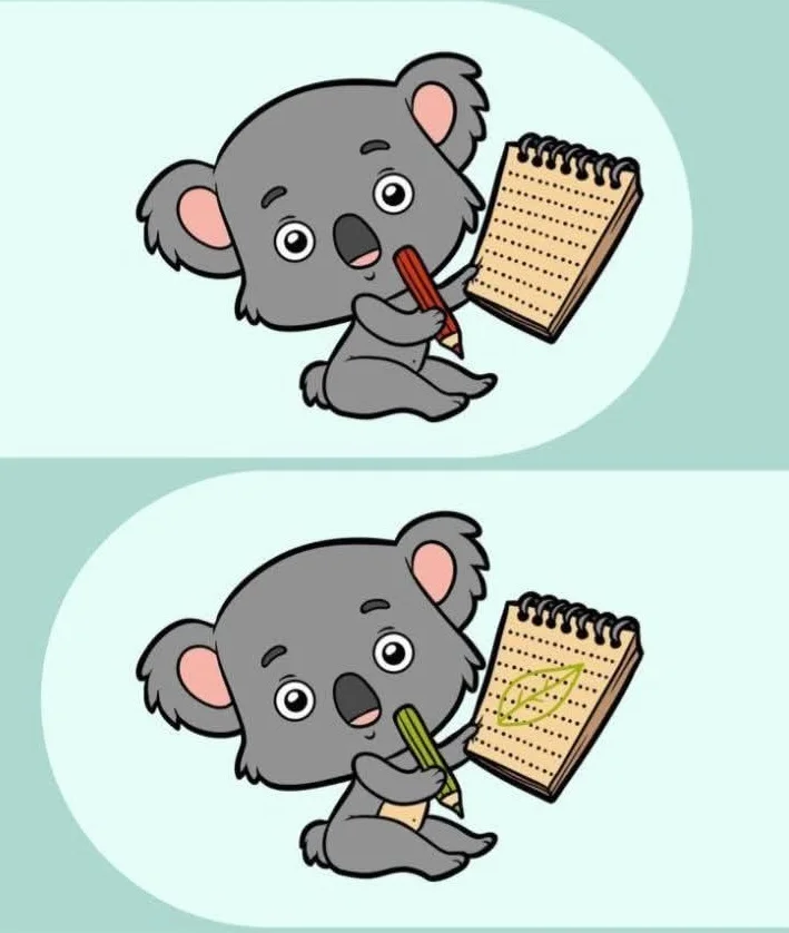 Ache a Diferença: O Coala e Seu Caderno