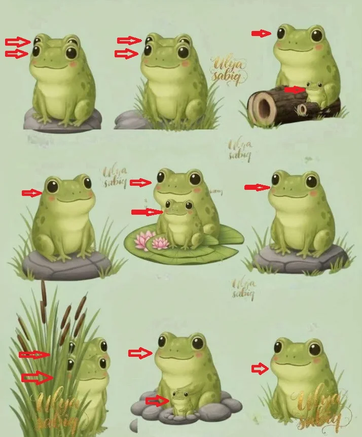 Ache a Diferença: Os Sapinhos no Jardim