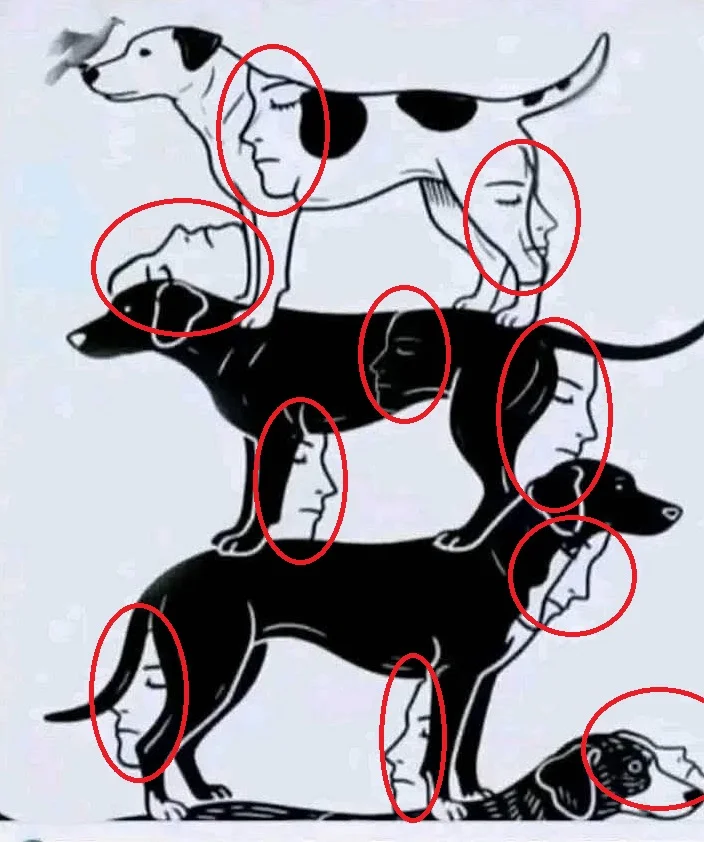 Desafio Visual: Quantos Rostos Você Consegue Encontrar?