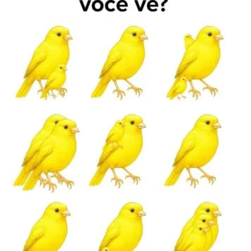 Quantos Canarinhos Você Consegue Ver Nesta Imagem?