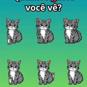 Quantos Gatos Você Consegue Ver?
