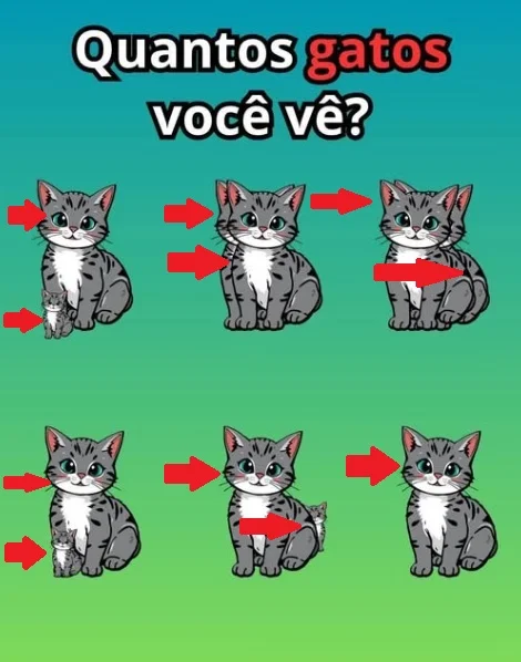 Quantos Gatos Você Consegue Ver?
