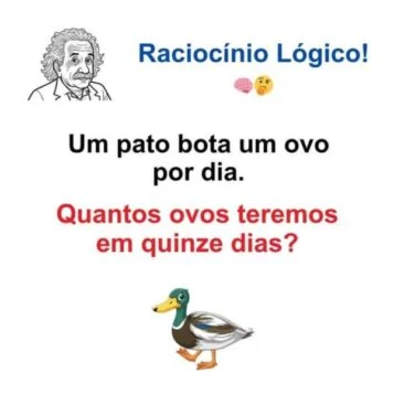 Desafio de Raciocínio Lógico: Quantos Ovos o Pato Botou?