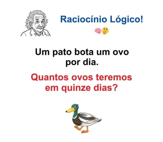 Desafio de Raciocínio Lógico: Quantos Ovos o Pato Botou?