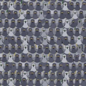 Desafio Visual: Onde Está o Gatinho Escondido Entre os Pombos?
