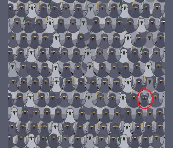 Desafio Visual: Onde Está o Gatinho Escondido Entre os Pombos?