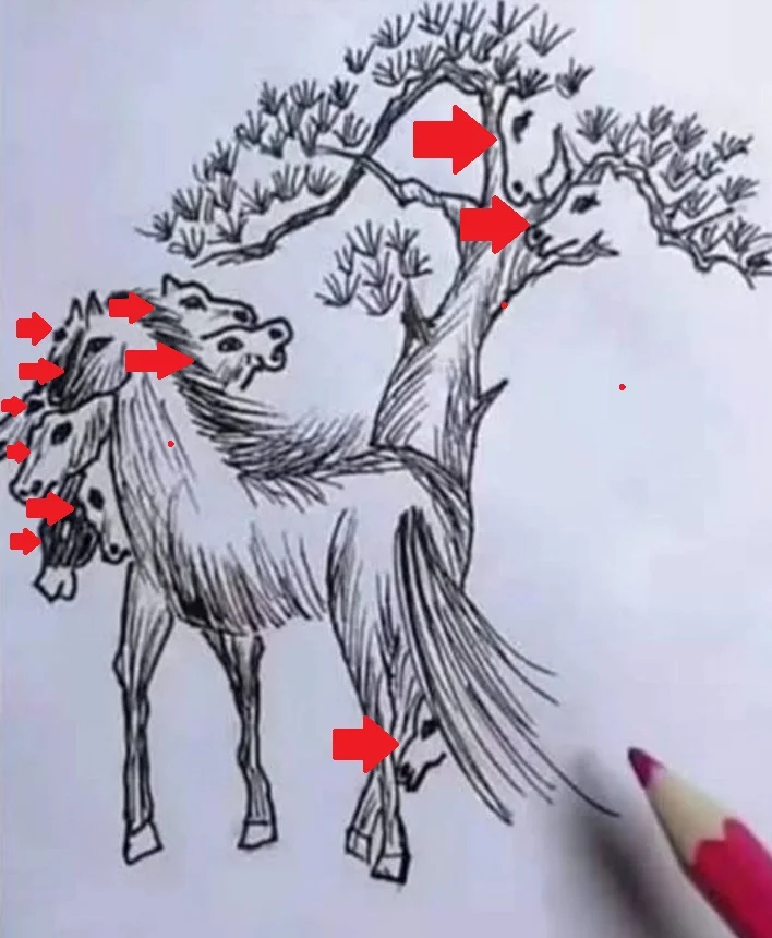 Desafio Visual: Quantos Cavalos Você Consegue Ver na Imagem?