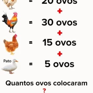 Quantos ovos eles colocaram?