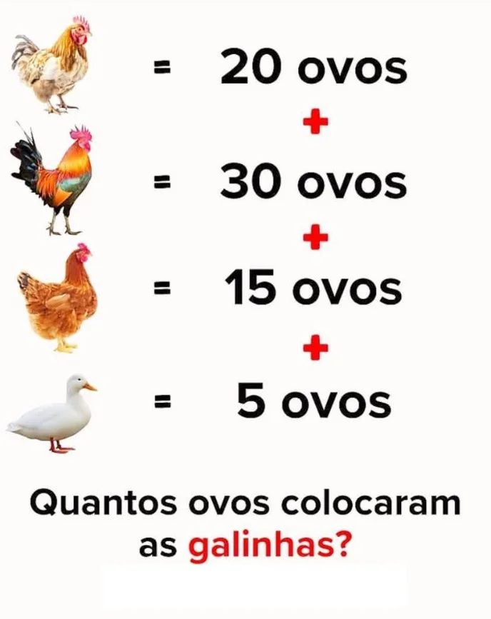 Desafio do Dia: Quantos Ovos as Galinhas Colocaram?