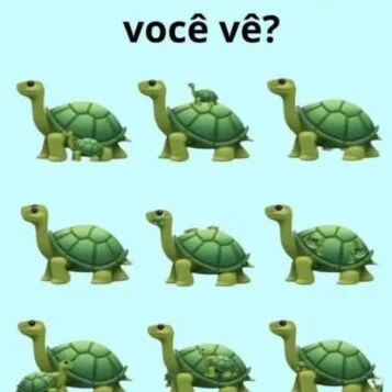 Quantas Tartarugas Você Consegue Ver na Imagem?