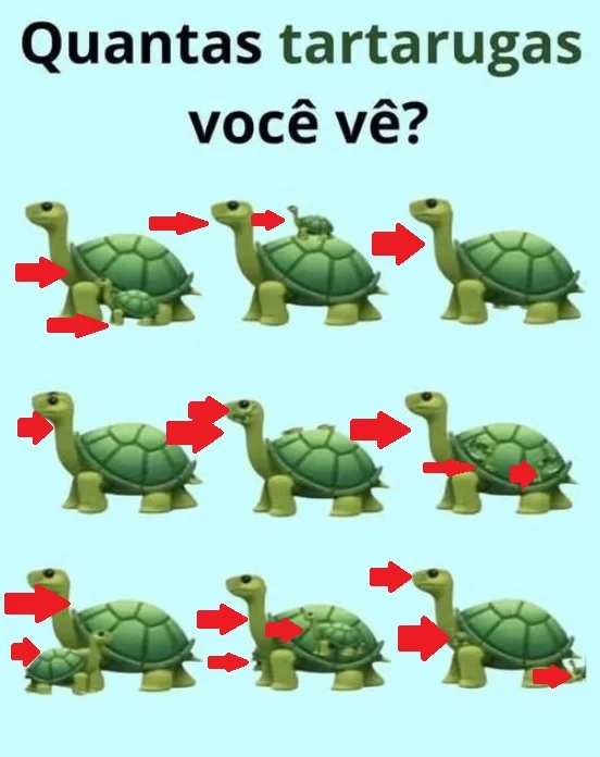 Quantas Tartarugas Você Consegue Ver na Imagem?