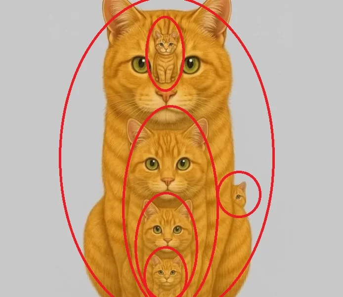 Quantos Gatos Você Consegue Ver na Imagem?