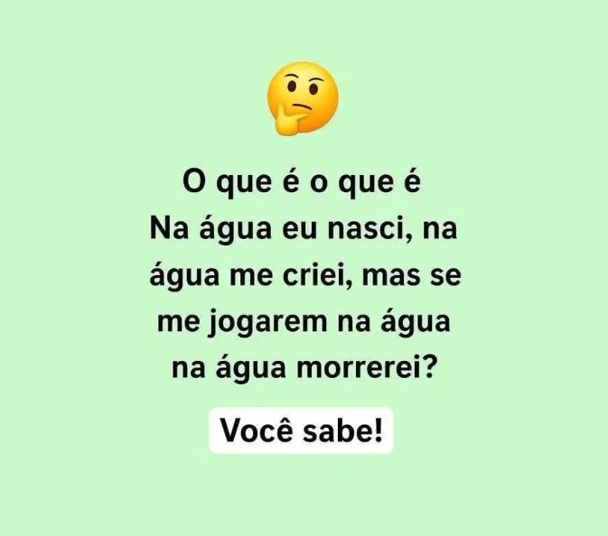 Desafio do Dia: O Que É, O Que É?
