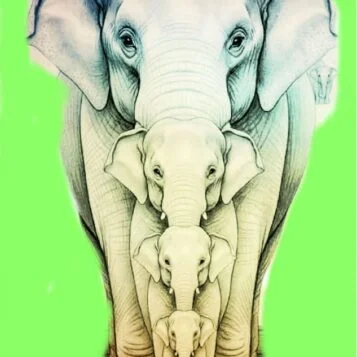 Desafio do Dia: Quantos Elefantes Você Consegue Encontrar?