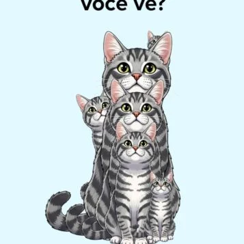 Desafio do Dia: Quantos Gatos Estão Escondidos na Imagem?