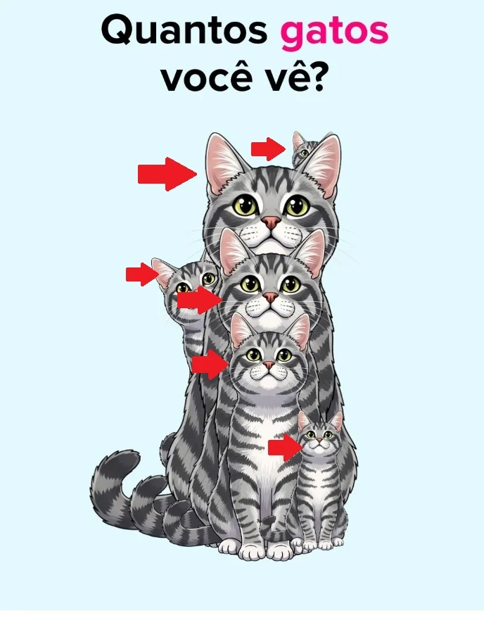 Desafio do Dia: Quantos Gatos Estão Escondidos na Imagem?