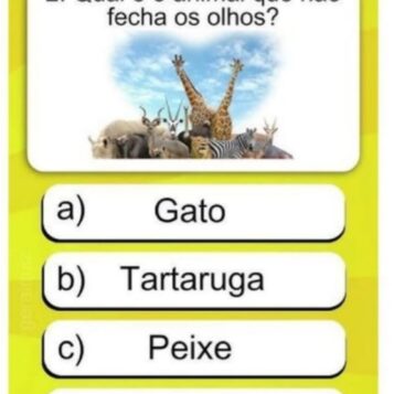 Desafio do Dia: Qual Animal Não Fecha os Olhos?