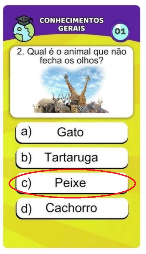 Desafio do Dia: Qual Animal Não Fecha os Olhos?