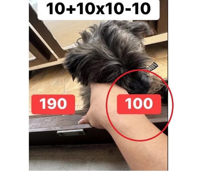 Desafio Matemático: 10 + 10 × 10 − 10 = 190 ou 100?