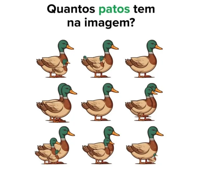 Desafio: Quantos Patos Tem Nessa Imagem?